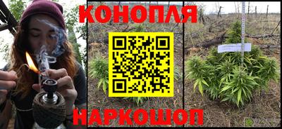тгк Камышлов