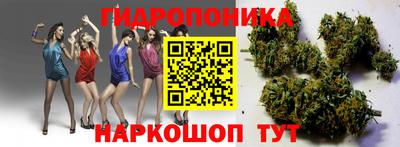 тгк Камышлов