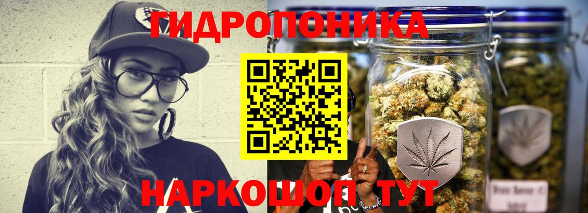 Канабис Amnesia Курчалой